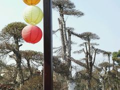 -武汉紫薇都市田园