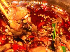 -宽口美蛙鱼头(大唐西市店)