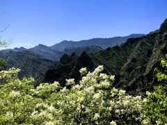 -圣莲山风景区