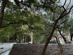 -凤凰御元艺术基地
