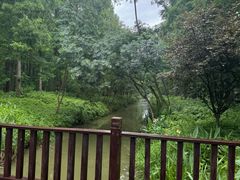 -黄海国家森林公园