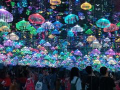 -上海梵高星空艺术馆(南京路旗舰店)