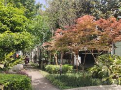 点击看大图 -莲生母婴月子中心(清水河公园店)