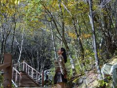 -叠溪松坪沟景区