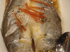 -上海新锦江大酒店