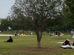 -盘龙城国家考古遗址公园