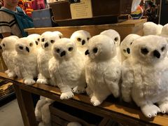 -九又四分之三站台