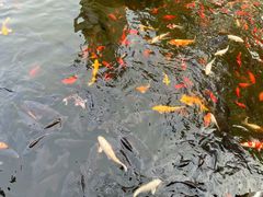 -红螺寺