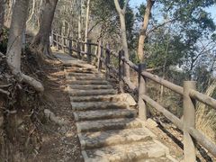 -上海佘山国家森林公园天马山园