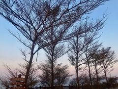 -东山风动石景区