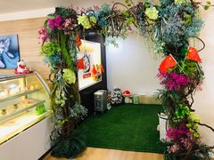 -Husky Go! 哈士奇体验馆·宠物咖啡厅狗咖