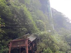 -中国大熊猫保护研究中心雅安碧峰峡基地