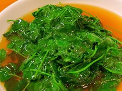 酒香草头-牧羊餐厅