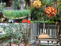 -正佳雨林生态植物园