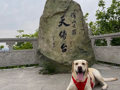 -沈阳辉山风景区