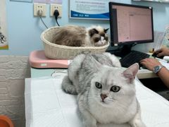 -纳吉亚猫专科动物医院博雅分院