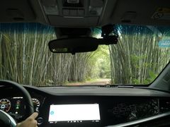-海南热带野生动植物园