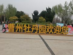 -曹州牡丹园