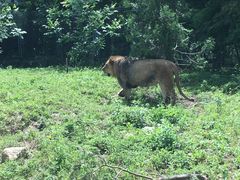 -西安秦岭野生动物园