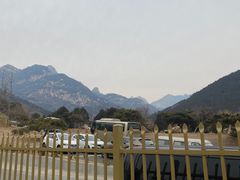 -万达广场(泰安泰山店)