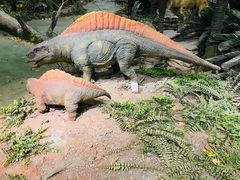 -湖南省地质博物馆