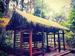 -铁山坪森林公园