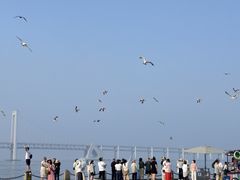 -星海广场