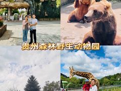 -贵州森林野生动物园