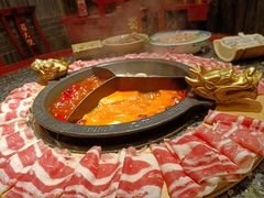 -蜀大侠火锅(森兰花园城店)