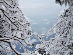 -瓦屋山景区