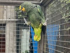 -大连森林动物园