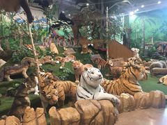 -济州岛泰迪熊博物馆