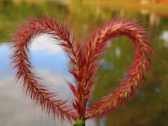 -白塘生态植物园