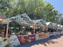 -绿堤公园