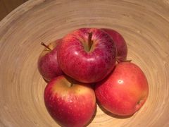 -香港港岛英迪格酒店