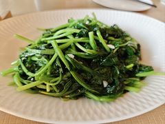 清炒鸡毛菜-海泰食府·新鲁菜·家宴(总部基地店)