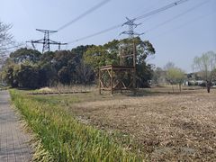 -长田漾湿地公园