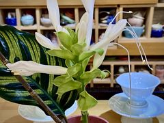 -今日陶艺(富力广场店)