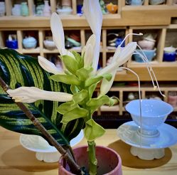 -今日陶艺(富力广场店)