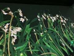 -宁波美术馆