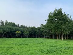 -东郊湿地公园