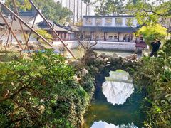 -上海醉白池公园