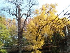 -苏州文庙(姑苏区)