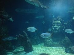 -暹罗海洋世界