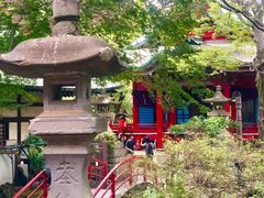 -井之头恩赐公园