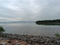 -深圳湾公园(南山区)