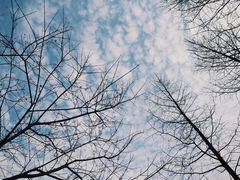 -星乐汇量贩式KTV(中冶祥腾城市广场店)