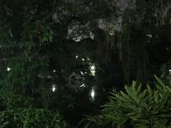 -人民公园(罗湖区)