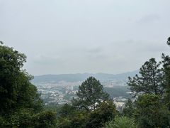 -火炉山森林公园