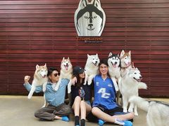 -TrueLove @ Neverland (Husky Cafe)